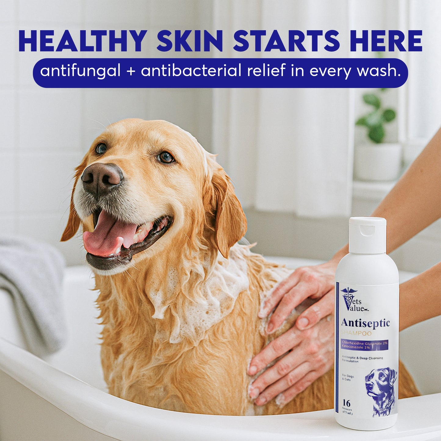 Medicated Pet Shampoo for Dogs, Cats & Horses – 12 oz – Supports Skin Health & Clean Coat – Gentle Cleansing Formula with Aloe & Oatmeal
