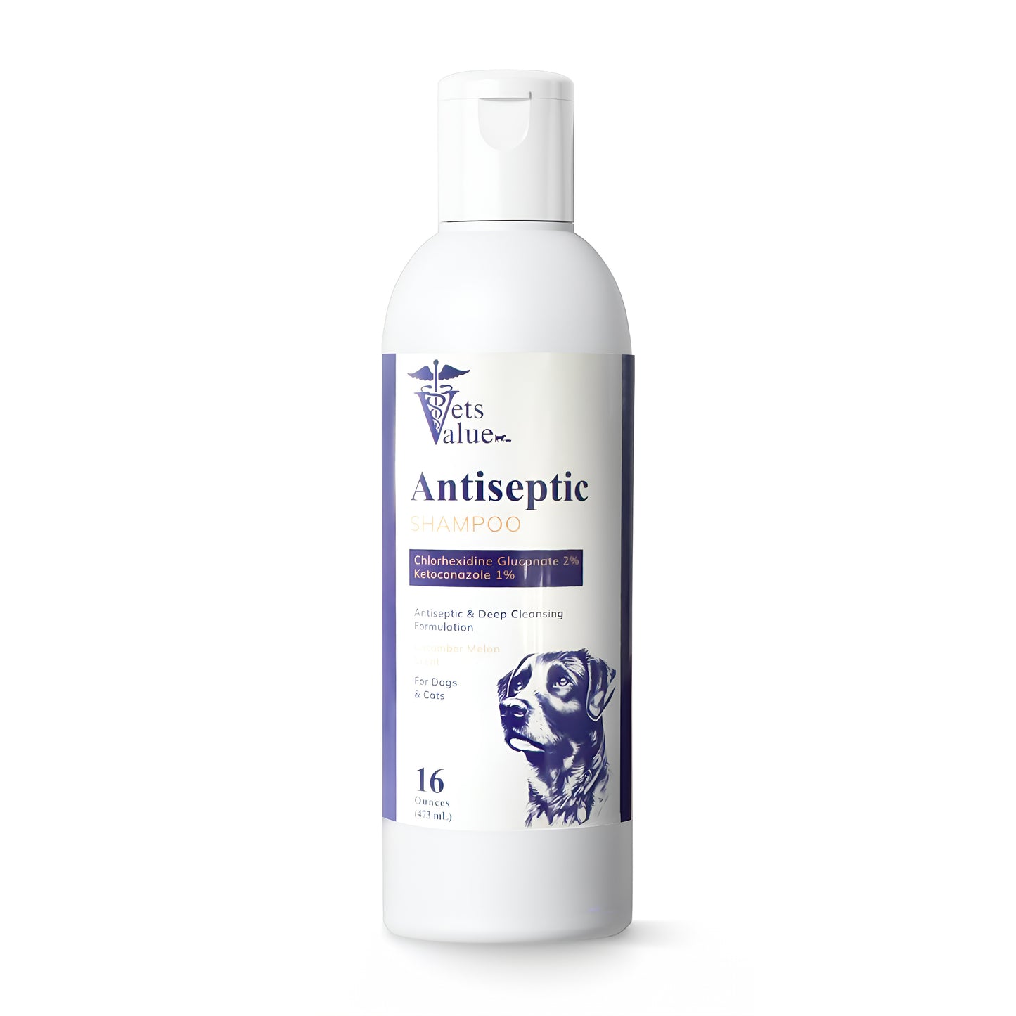 Medicated Pet Shampoo for Dogs, Cats & Horses – 12 oz – Supports Skin Health & Clean Coat – Gentle Cleansing Formula with Aloe & Oatmeal