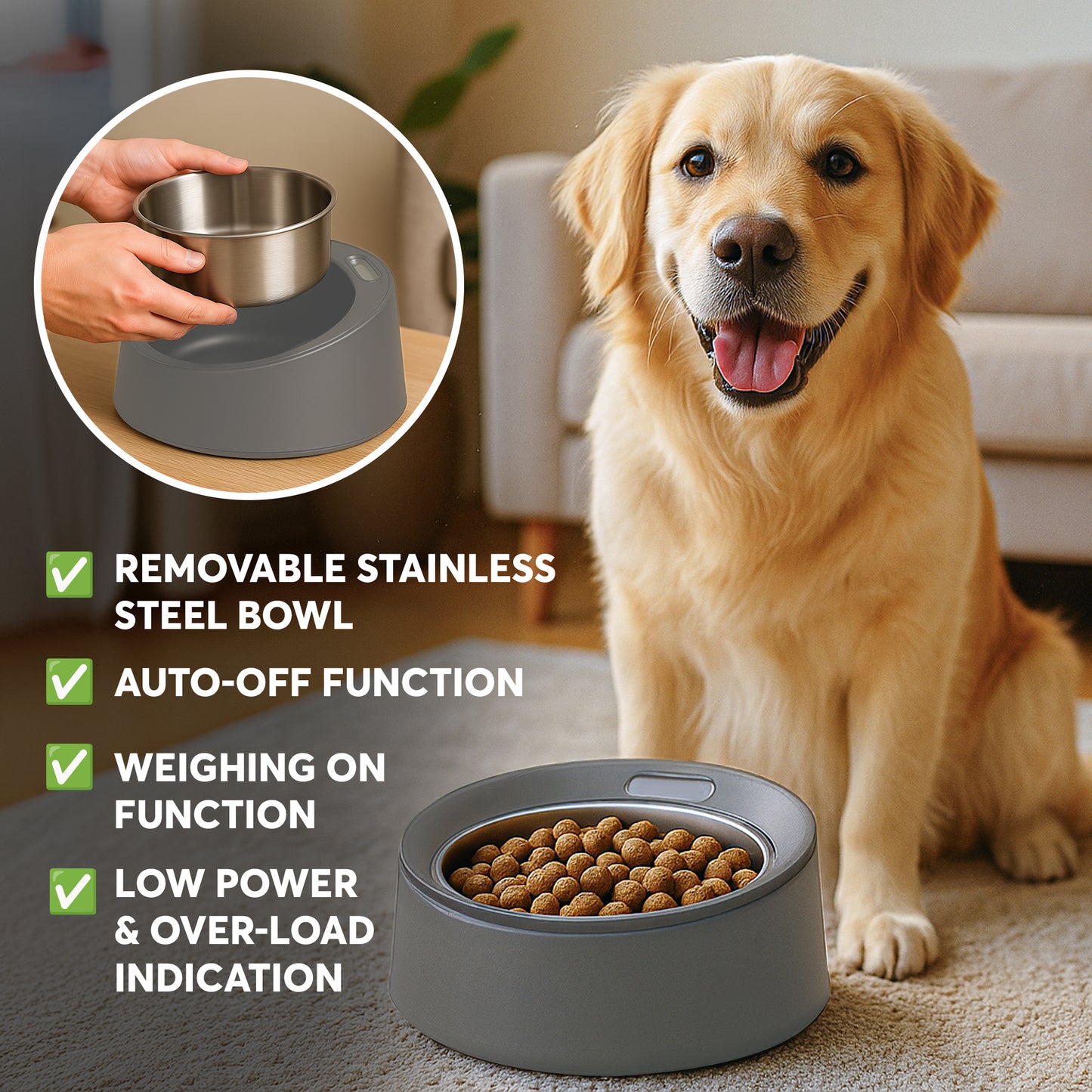 BowlScale Stainless Steel Digital Pet Feeding Bowl