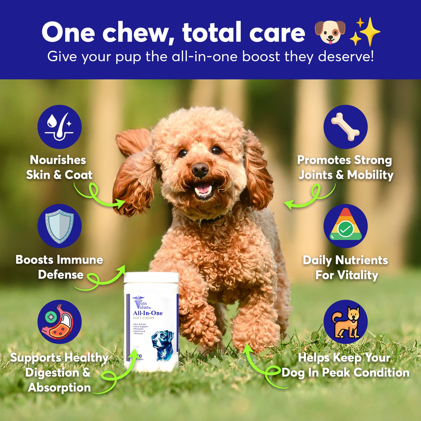 All in One Multivitamin