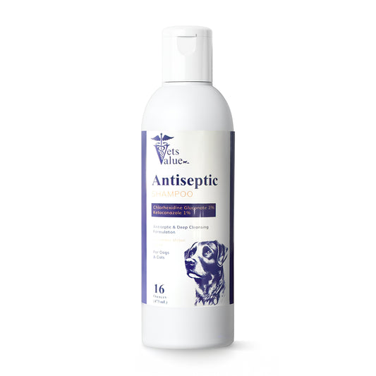Medicated Pet Shampoo for Dogs, Cats & Horses – 12 oz – Supports Skin Health & Clean Coat – Gentle Cleansing Formula with Aloe & Oatmeal