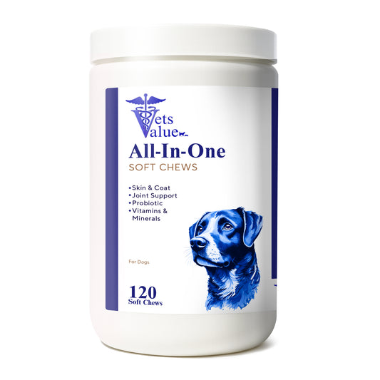 All in One Multivitamin